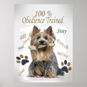 Yorkie 100 % de Obediência Treinada Poster