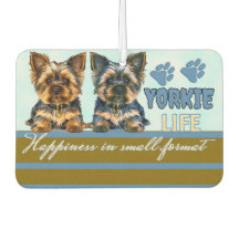 Yorkie fofo