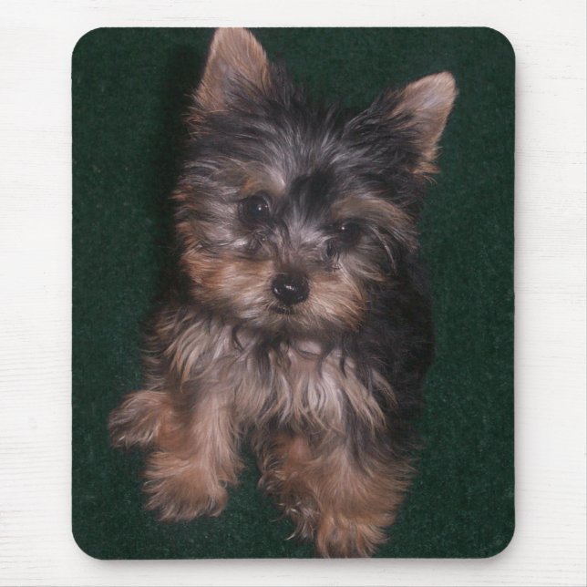 Yorkie Mousepad (Frente)