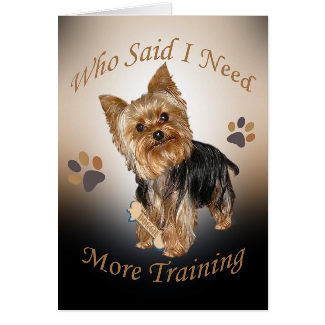 Yorkie precisa de treinar cartões (Frente)