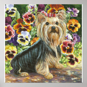 Yorkie Yorkshire Terrier no Impressão dos Pansies