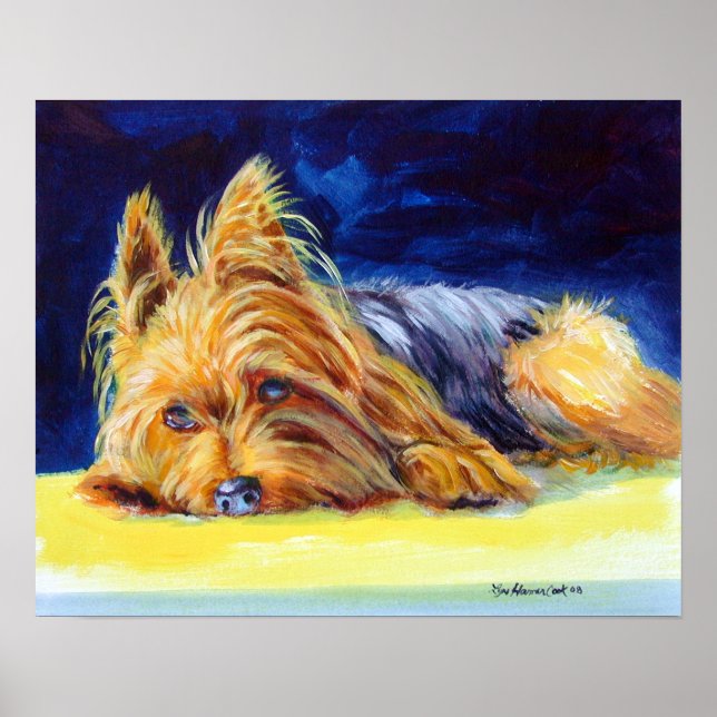 Yorkshire Terrier Impressão Poster (Frente)