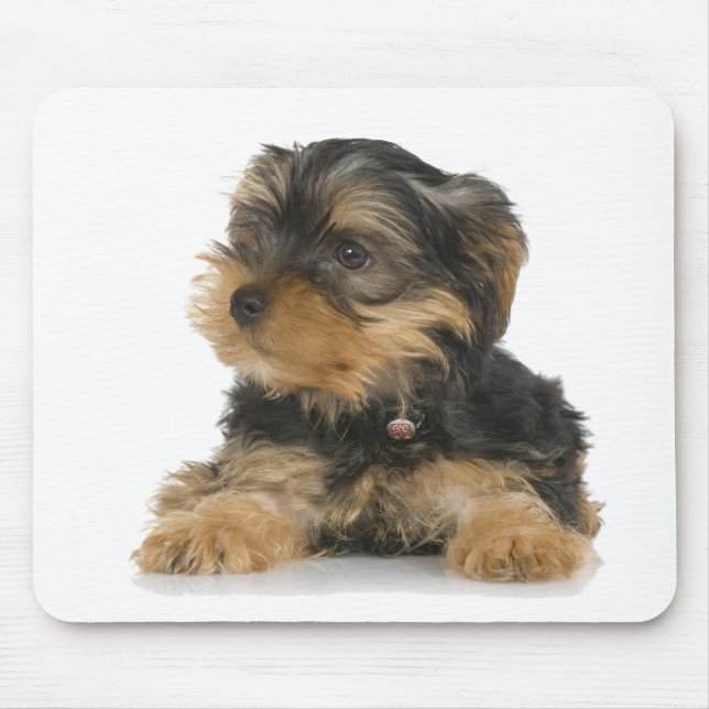 Yorkshire terrier Mousepad (Frente)