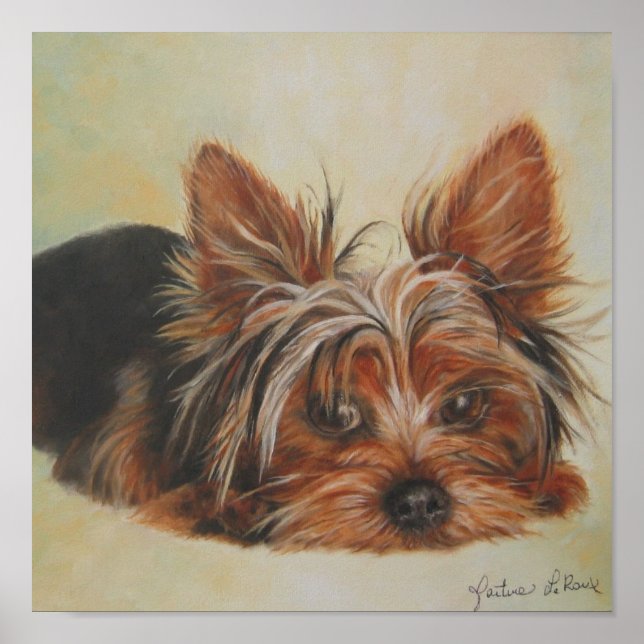 Yorkshire Terrier Poster (Frente)