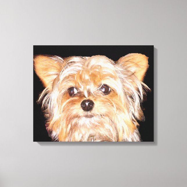 Yorkshire Terrier Stretch Canvas Print (Frente)
