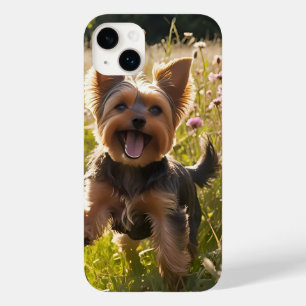 Yorkshire Terriers jogando na grama