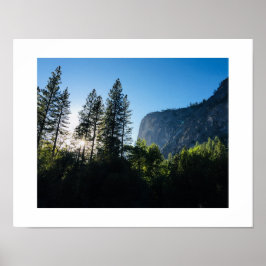 Yosemite Sunlit Trees Color Fotografia Poster