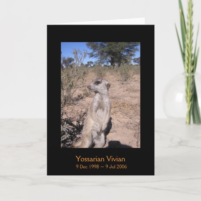 Yossarian - cartão das legendas (Frente)