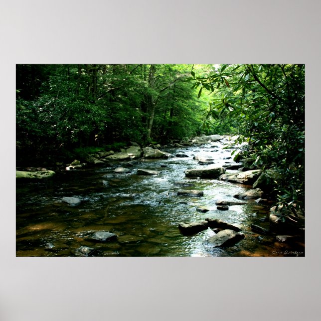 Youghiogheny River Impressão (Frente)