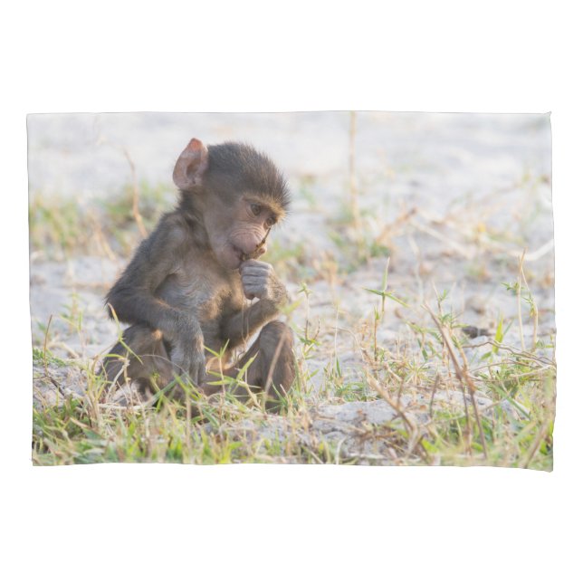 Young Baboon (Frente)