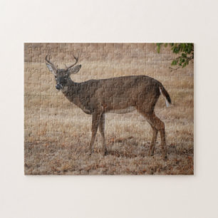 Young Buck Deer Texas Meadow Art Quebra-cabeça