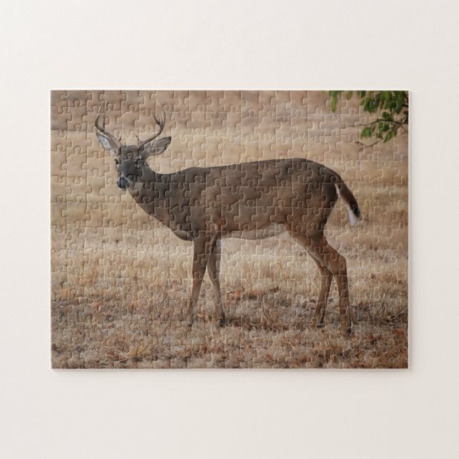 Young Buck Deer Texas Meadow Art Quebra-cabeça (Horizontal)