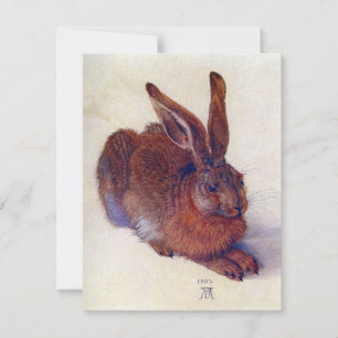 Young Hare by Albrecht Durer, Renaissance Fine Art