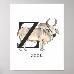 Z para Zebu Poster