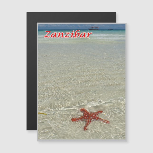 Zanzibar - Sea View - Starfish - (Frente/Verso)