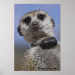 Zaphod - rei do poster de Kalahari