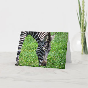 Zebra (2412) - Cartão Saudável