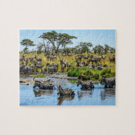 Zebra Herd na Quebra-cabeça do serrote selvagem