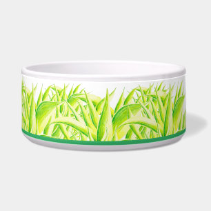 Zebra Iris numa tigela de salada