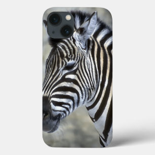Zebra Lovers