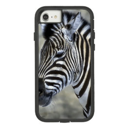 Zebra Lovers