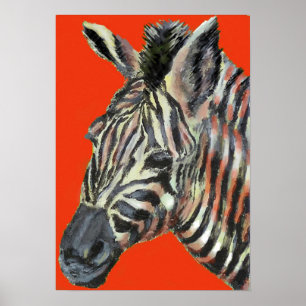 zebra no vermelho - poster