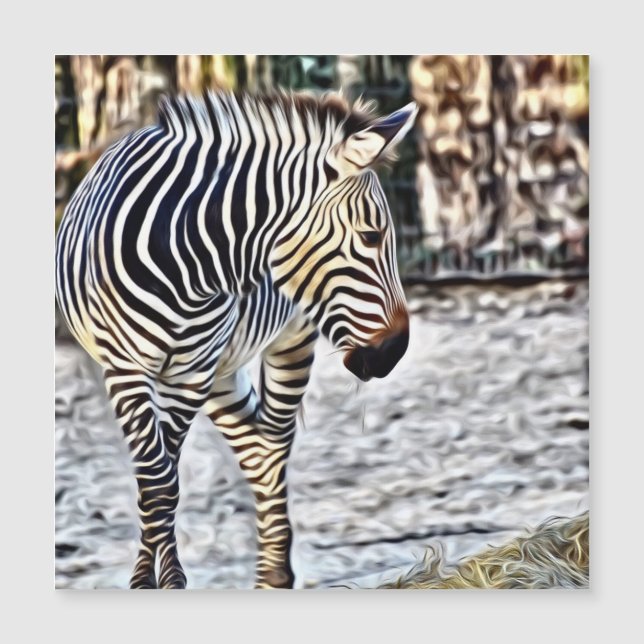 Zebra pintada 11218 (Frente)