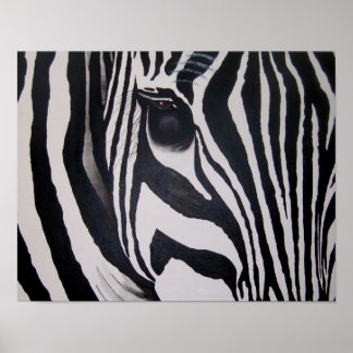 Zebra Poster