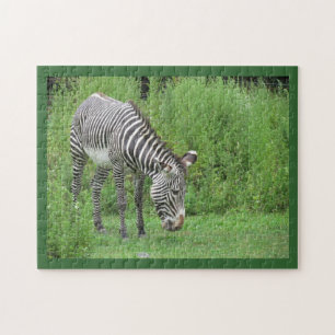 Zebra Quebra-cabeça