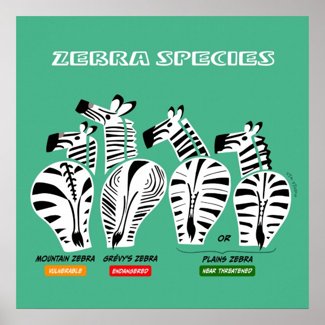 Zebra Species Art Poster (Frente)