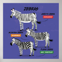 Zebra Species Art Poster v2