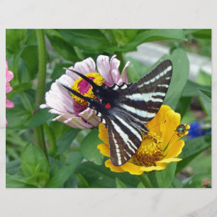 Zebra Swallowtail+Besouro Japonês