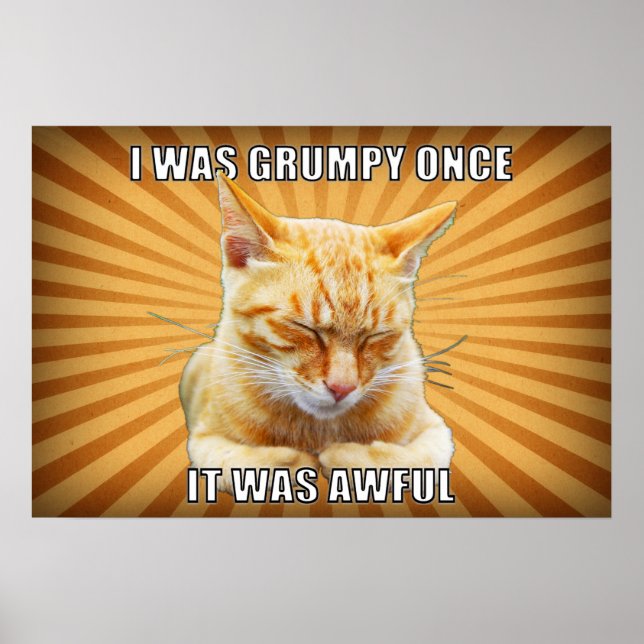 Zen Cat Poster (Frente)