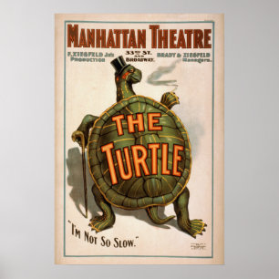 ZIEGFELD É A TURTLE Play VAUDEVILLE Poster