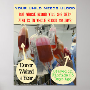 Zika no sangue poster de 101 dias por RoseWrites