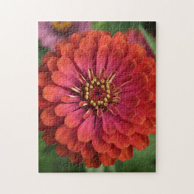 Zínia vermelha - quebra-cabeça floral com caixa de (Vertical)