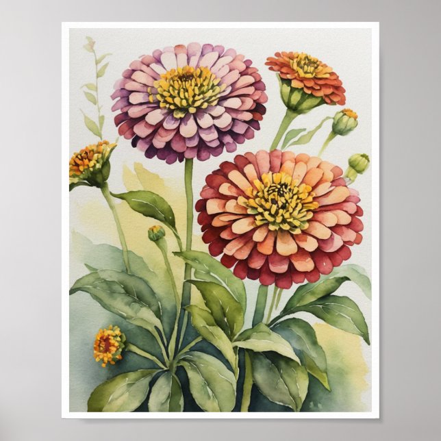 Zinnia Flores de Água Feita à Mão Poster (Frente)