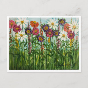 Zinnia, Margarida, Flores de Áster Cartão Postal