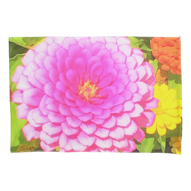 Zinnia rosa redonda bonito no Jardim de Verão (Frente)