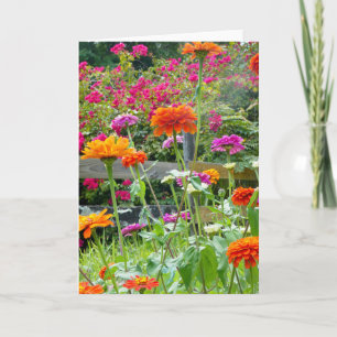 "Zinnias 1." Cartão