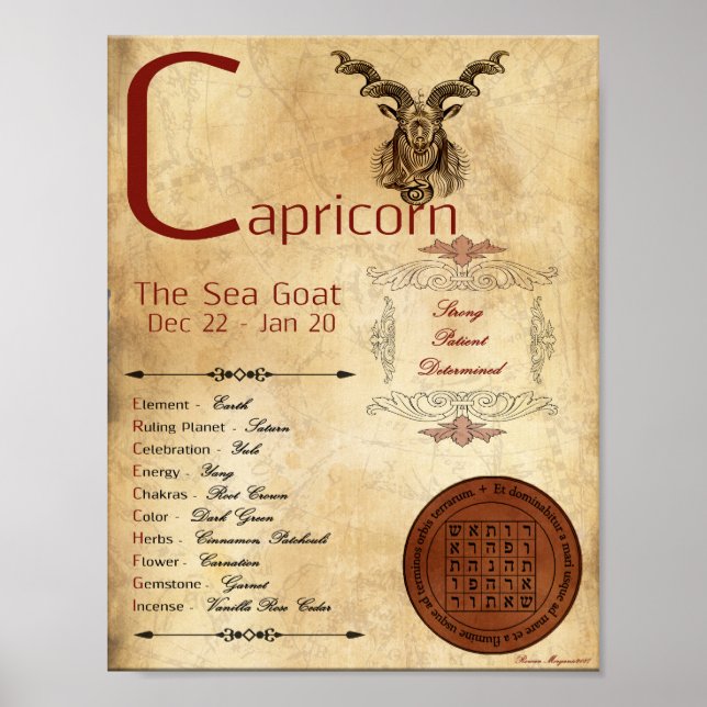 ZODIAC CAPRICORN - Sinal de Nascimento - POSTER (Frente)
