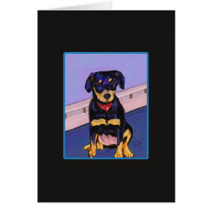 Zoe no cartão irresistível