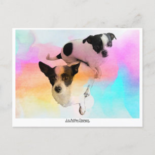 Zoey & Gracie Disco Cartão Postal em Branco!