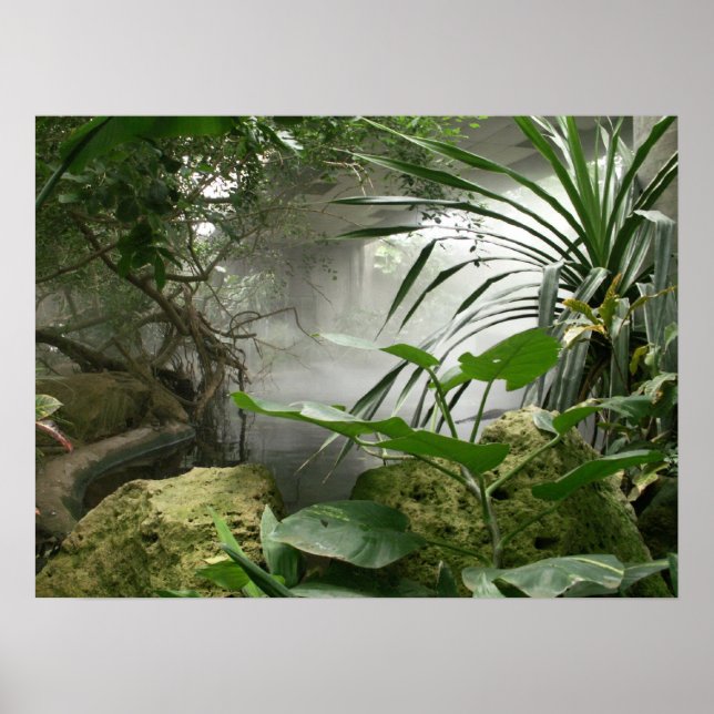 Zoo RainForest Exhibit Poster (Frente)