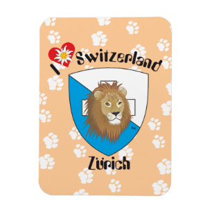 Zurique Suíça Switzerland íman